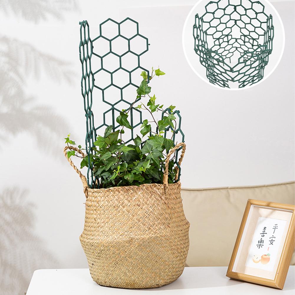 1/2/5Pcs Plastic Plant Support - Gardening Tools Usa 评论和价格