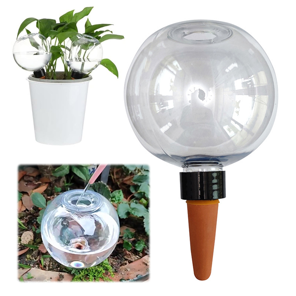 500ML Self Watering Globes Dri - Self-Watering Planter 评论和价格