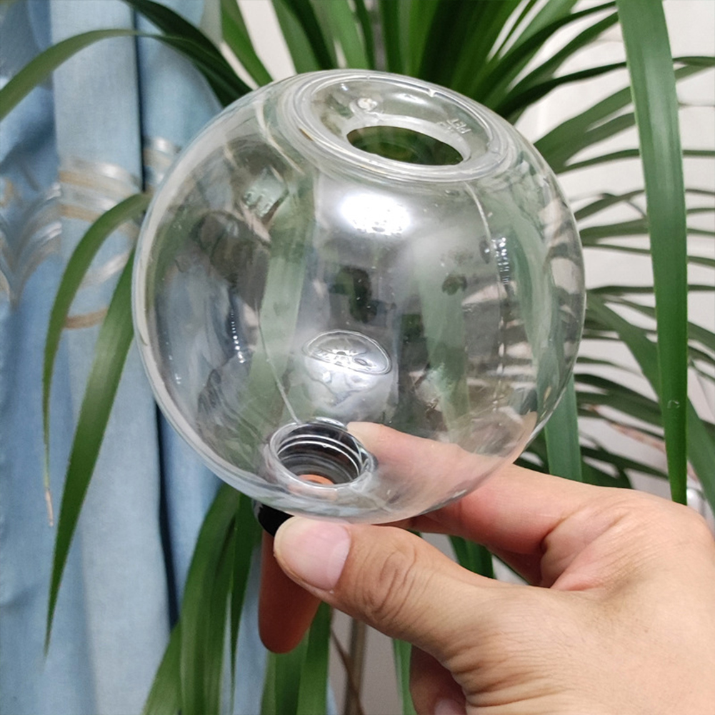 500ML Self Watering Globes Dri - Self-Watering Planter 评论和价格