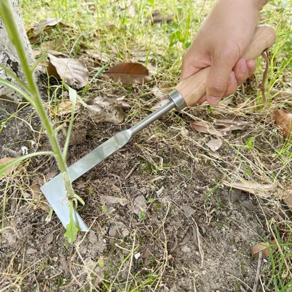 Stainless Steel Gap Weeding To - Gardening Tools Used 评论和价格