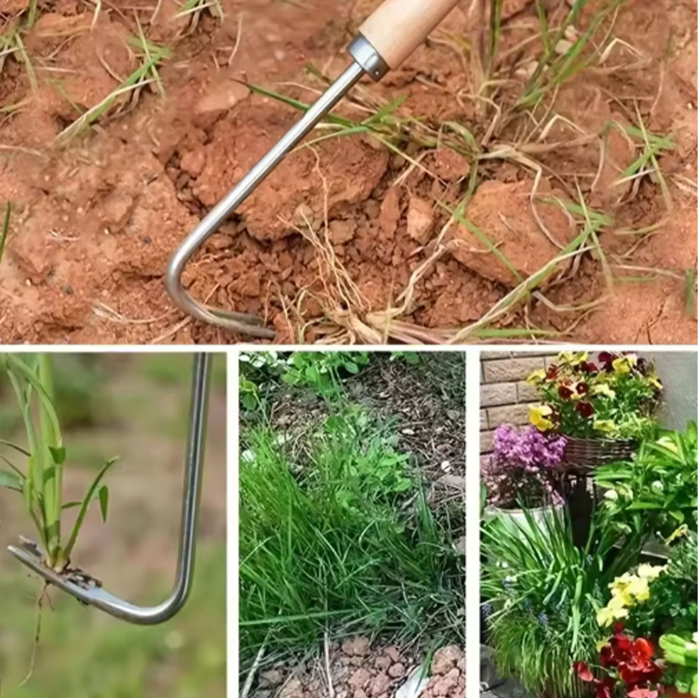Stainless Steel Gap Weeding To - Gardening Tools Used 评论和价格