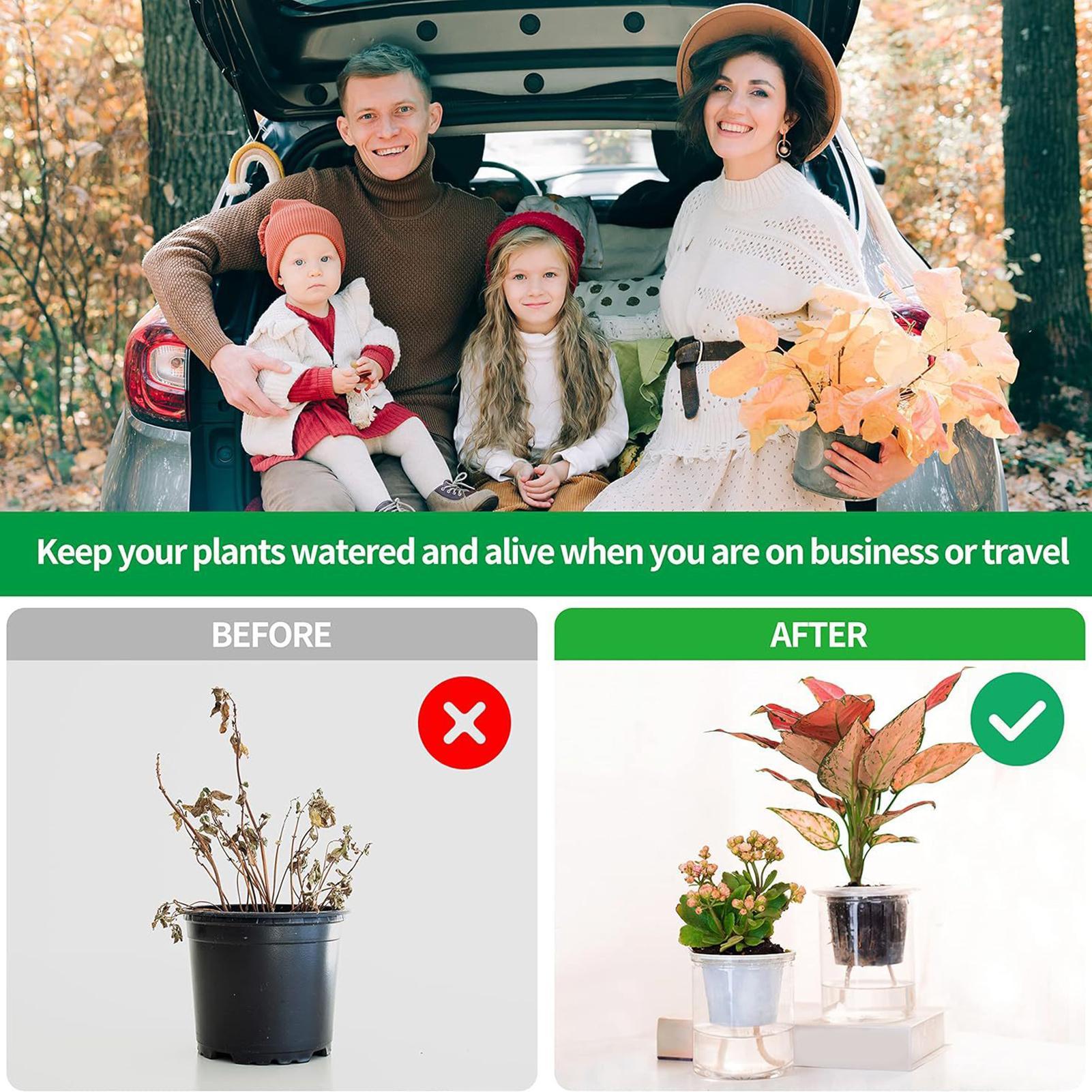 Plant Wicks For Self Watering  - Self-Watering Planter 评论和价格