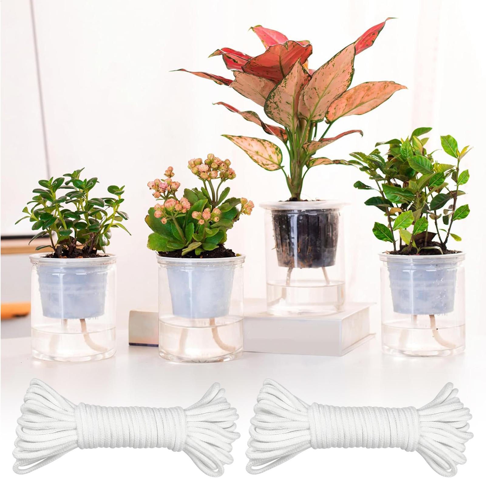 Plant Wicks For Self Watering  - Self-Watering Planter 评论和价格