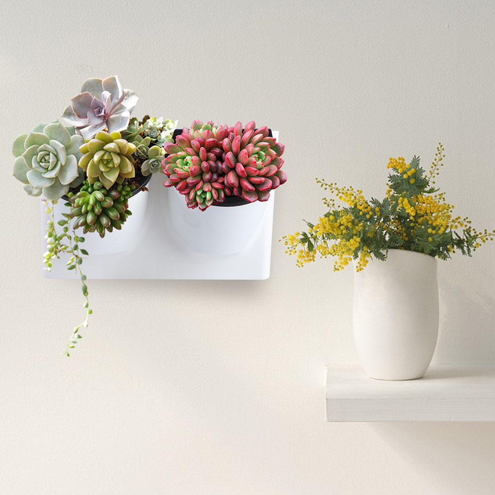 Self Watering Flower Pot Plast - Self-Watering Planter 评论和价格