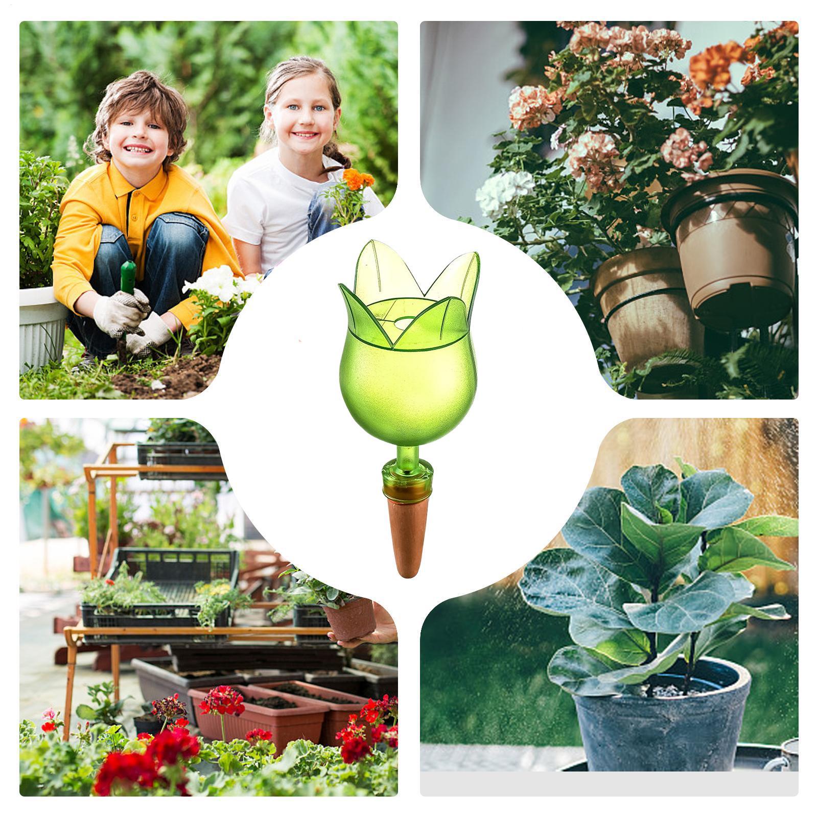 Plant Self Watering Devices Pl - Self-Watering Planter 评论和价格