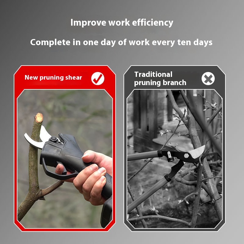Portable Outdoor Cordless Elec - Pruning Shears 评论和价格
