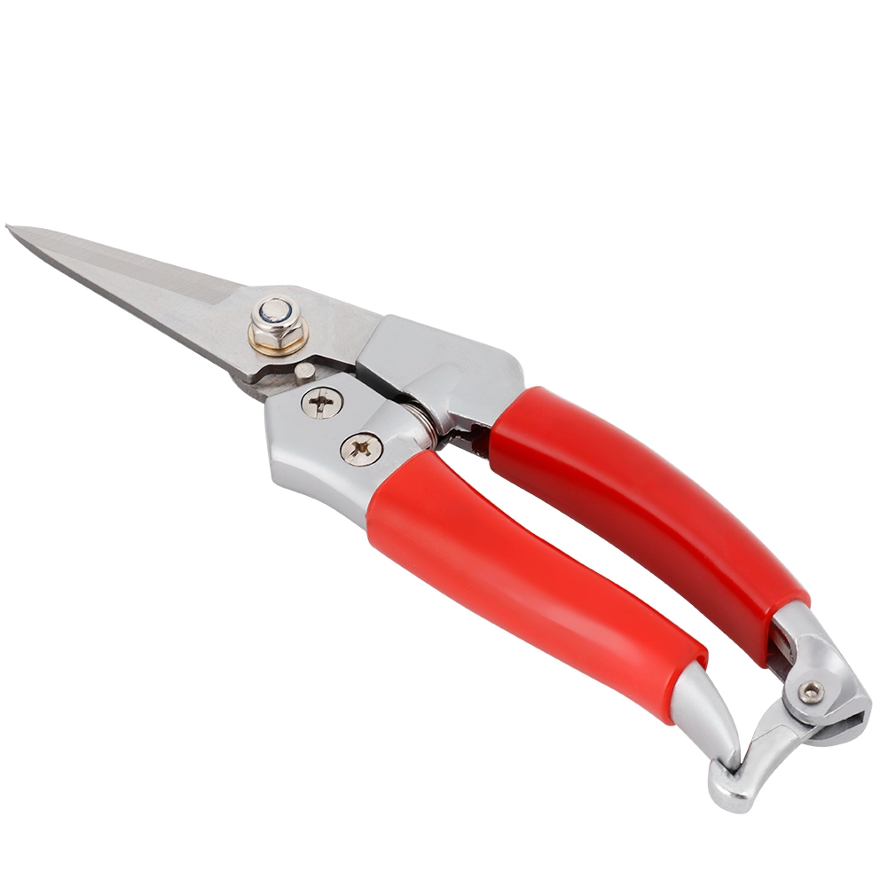 Plant Pruning Shears Straight  - Pruning Shears 评论和价格