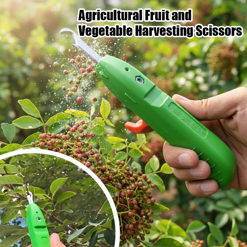 Fruit And Vegetable Picking Sh - Gardening Tools Cutter 评论和价格