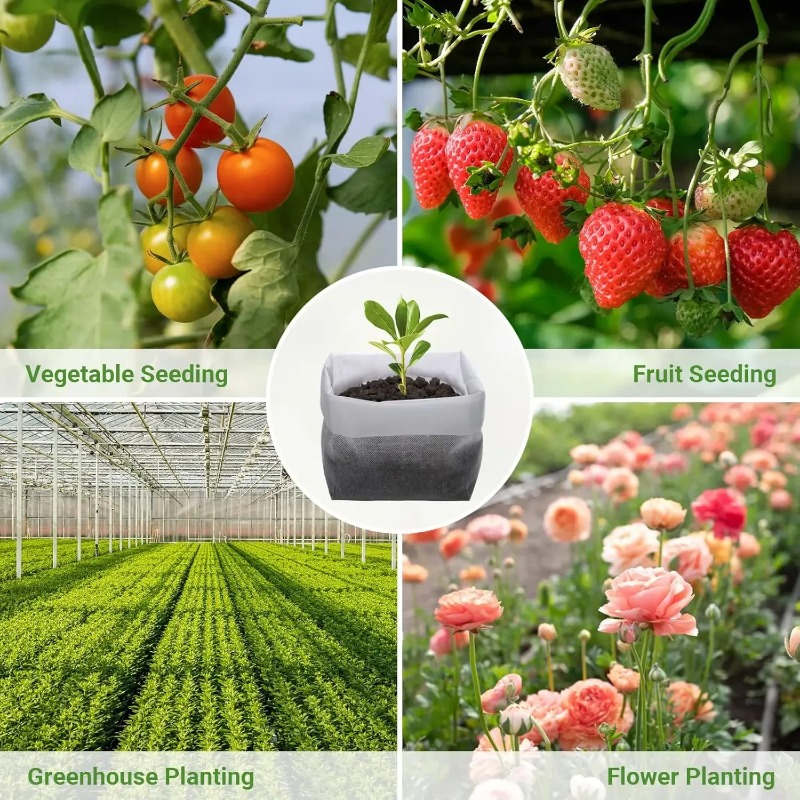 Water Permeable Breathable Non - Grow Bags 评论和价格