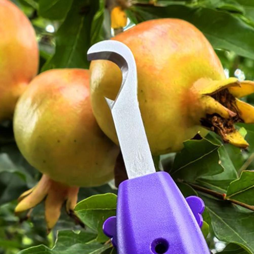 Handheld Berry Picking Tool Er - Gardening Tools Cutter 评论和价格