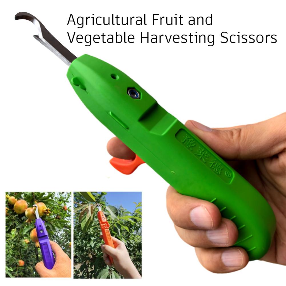 Handheld Berry Picking Tool Er - Gardening Tools Cutter 评论和价格