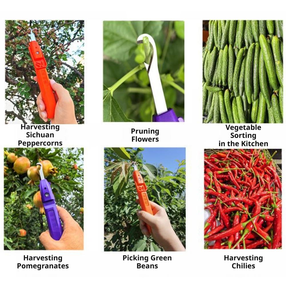 Handheld Berry Picking Tool Er - Gardening Tools Cutter 评论和价格