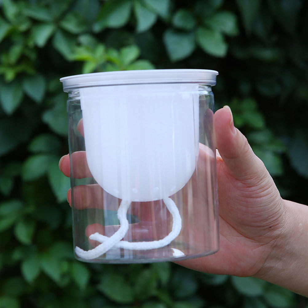 100Pcs Water Absorption Cotton - Self-Watering Planter 评论和价格