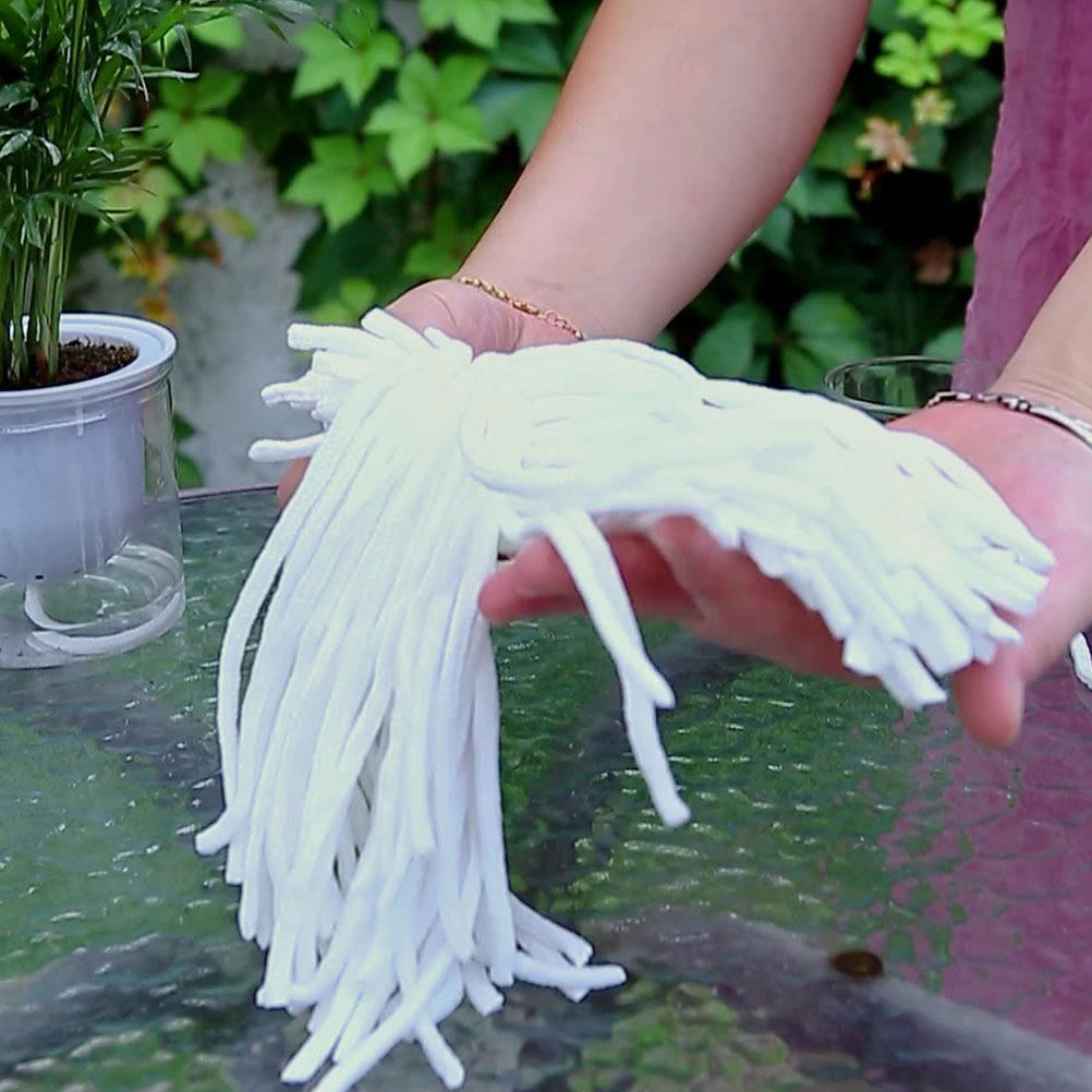 100Pcs Water Absorption Cotton - Self-Watering Planter 评论和价格
