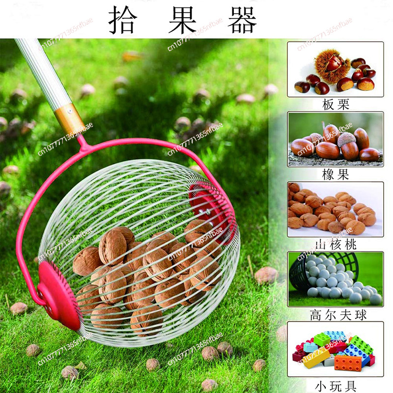 Amazon, Fruit Collector, Nut C - Gardening Tools Amazon 评论和价格