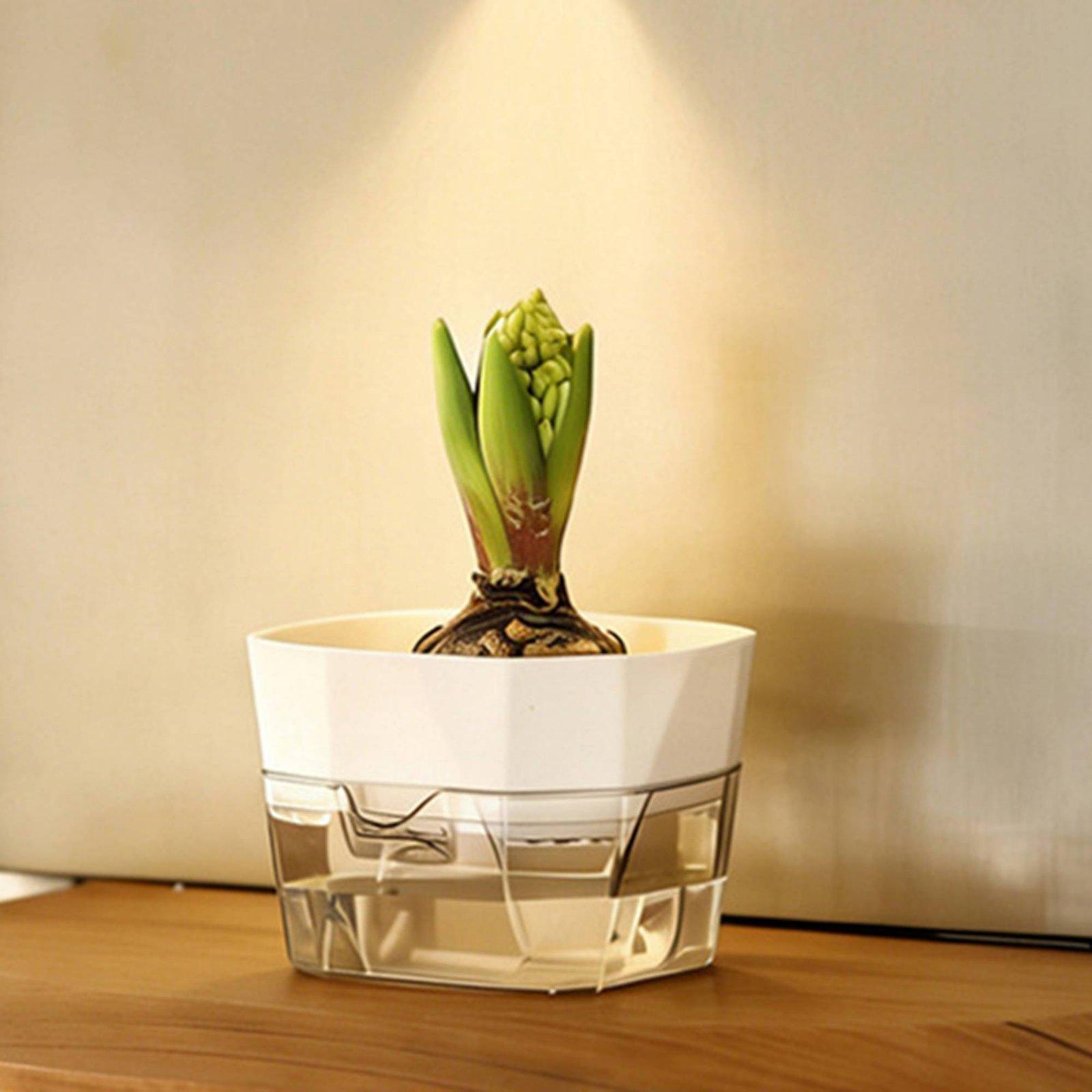 Hydroponic Vase Two Layer Self - Self-Watering Planter 评论和价格