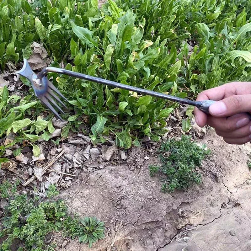 Garden Weeders Grass Hand Weed - Gardening Tools For Weeds 评论和价格