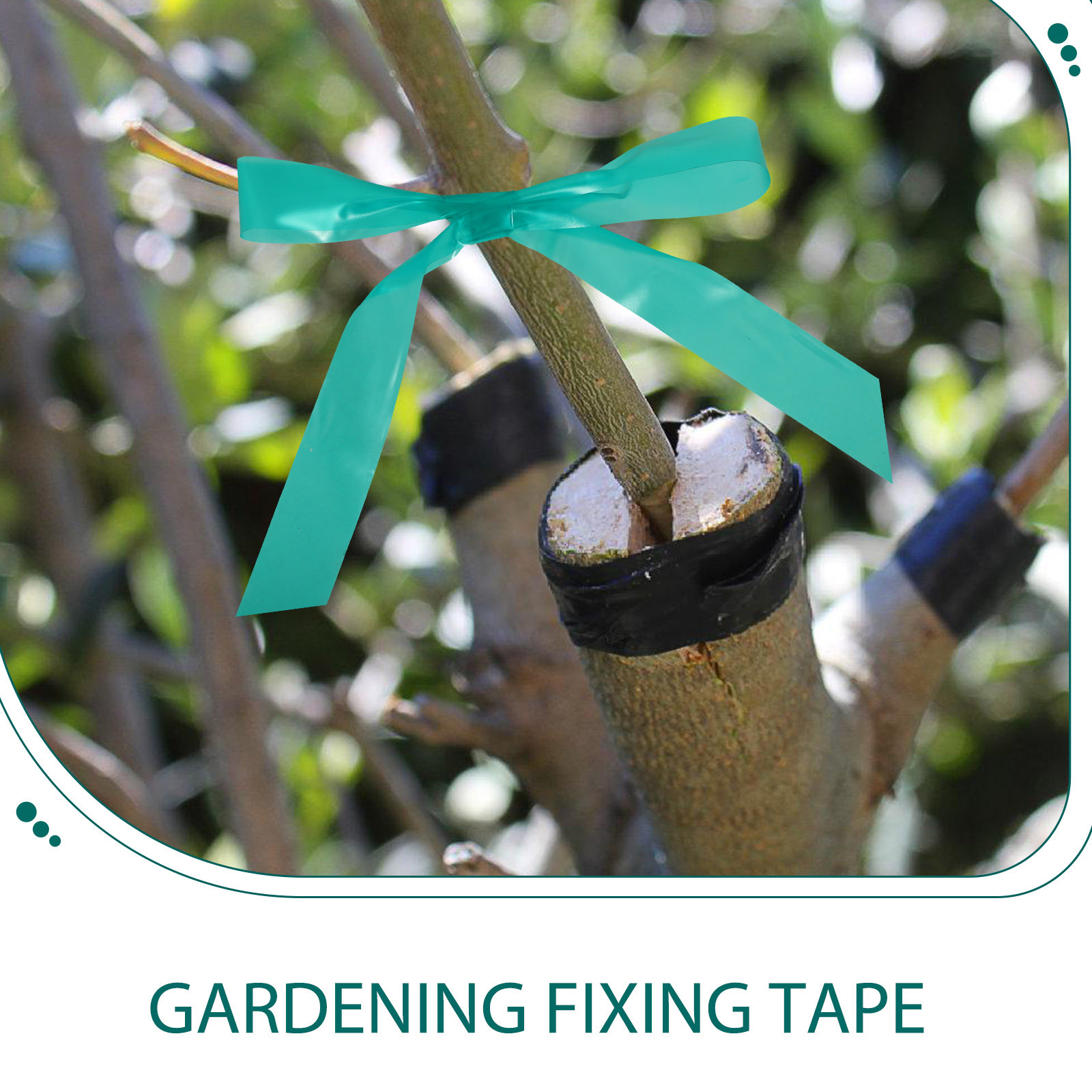 2pcs 2 Rolls Stretchable Graft - Gardening Tools Repair 评论和价格