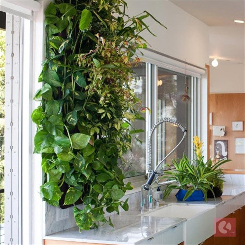 1Pcs Felt Wall Hanging Plant B - Grow Bags 评论和价格