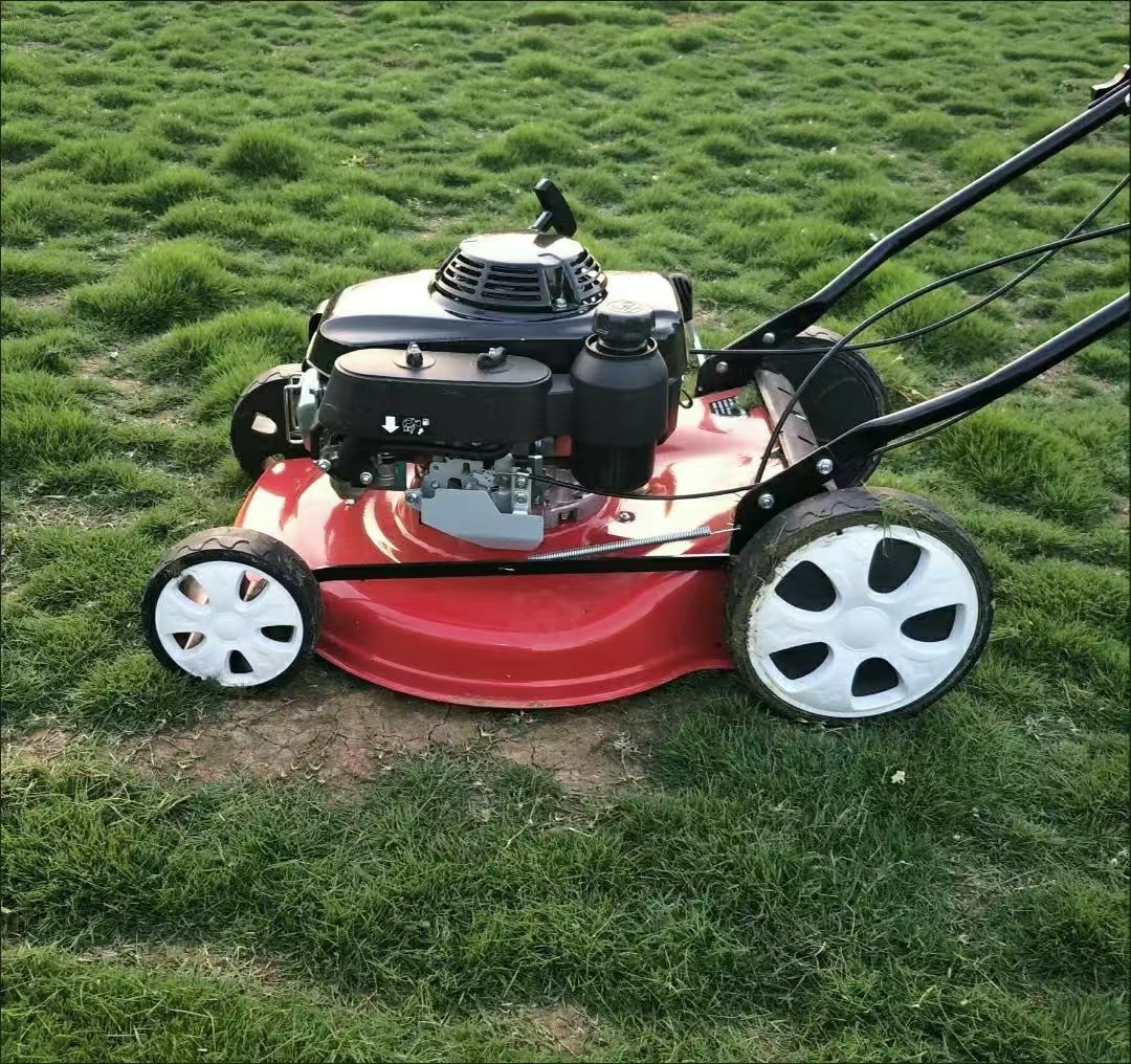 Best Quality Petrol Industrial - Gardening Tools Best Quality 评论和价格
