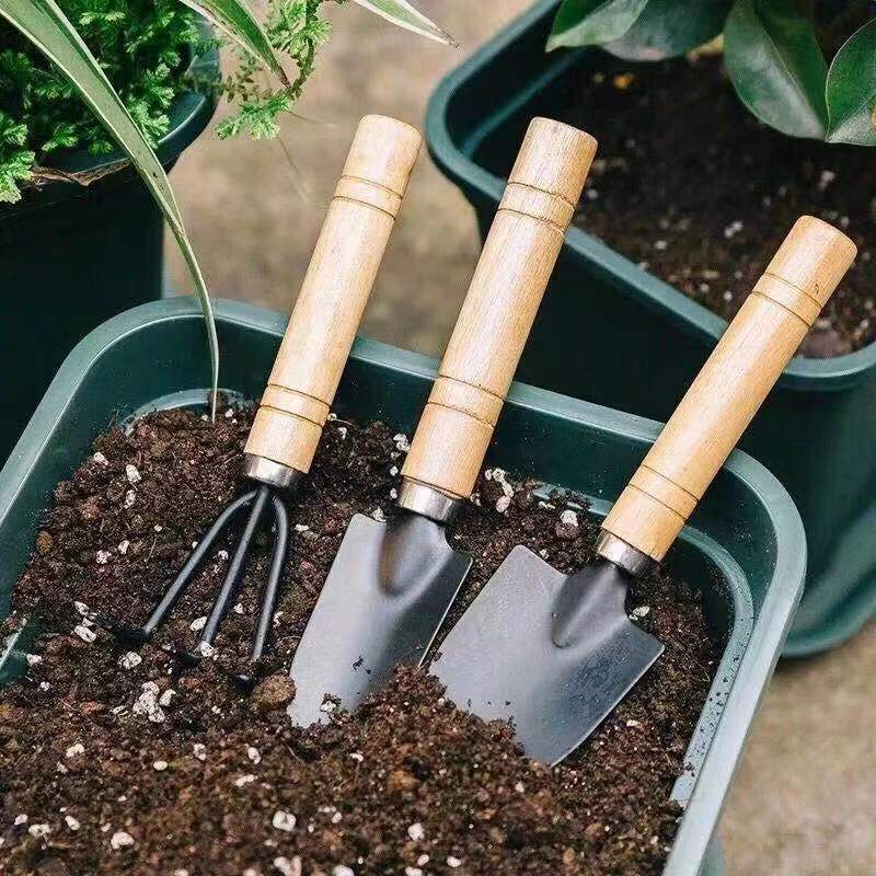 3PC/1Set Mini Gardening Tools  - Gardening Tools Usa 评论和价格