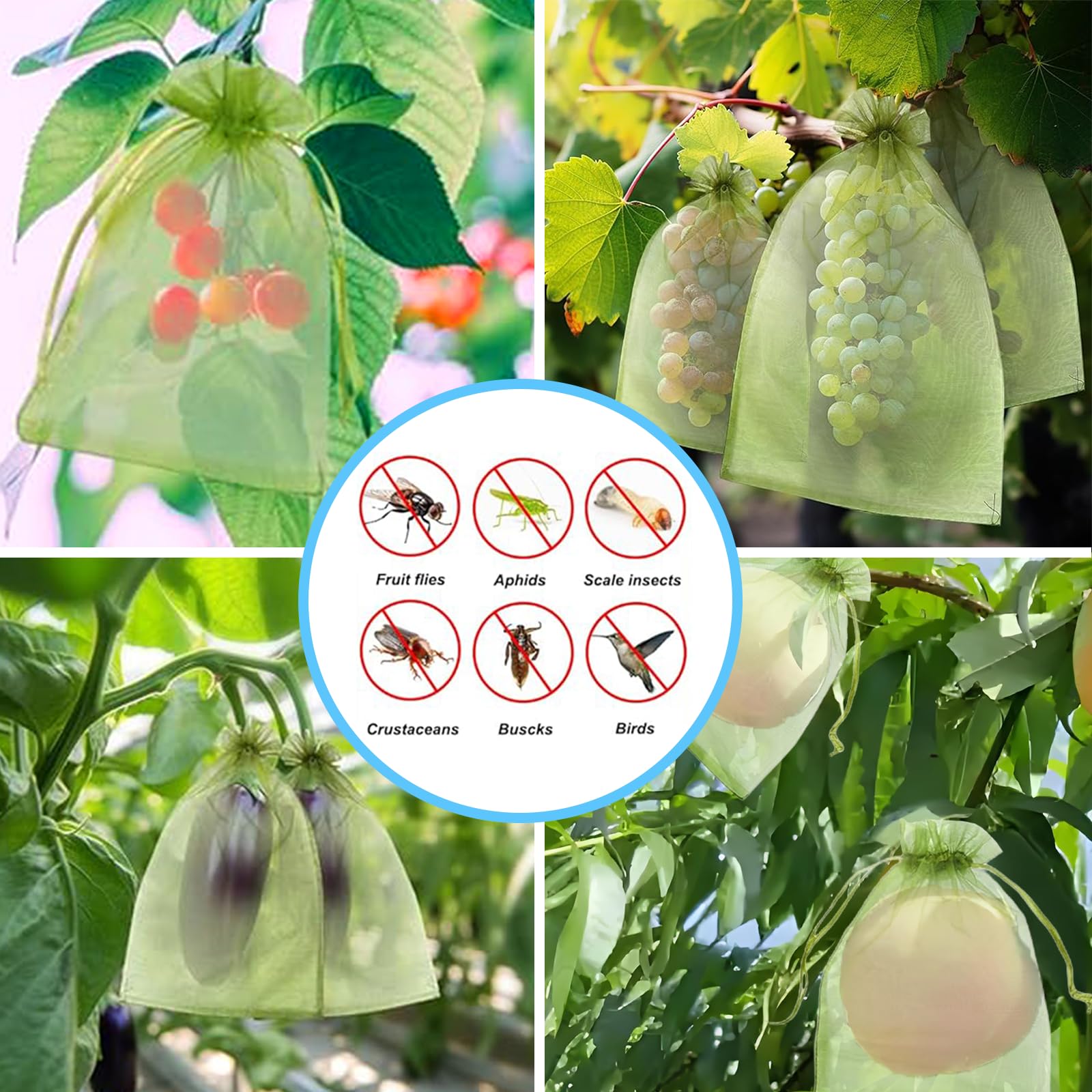 Effective Anti-Bird Netting Fr - Grow Bags 评论和价格