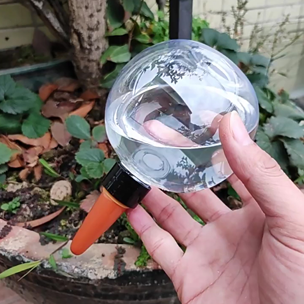 500ML Self Watering Globes Dri - Self-Watering Planter 评论和价格