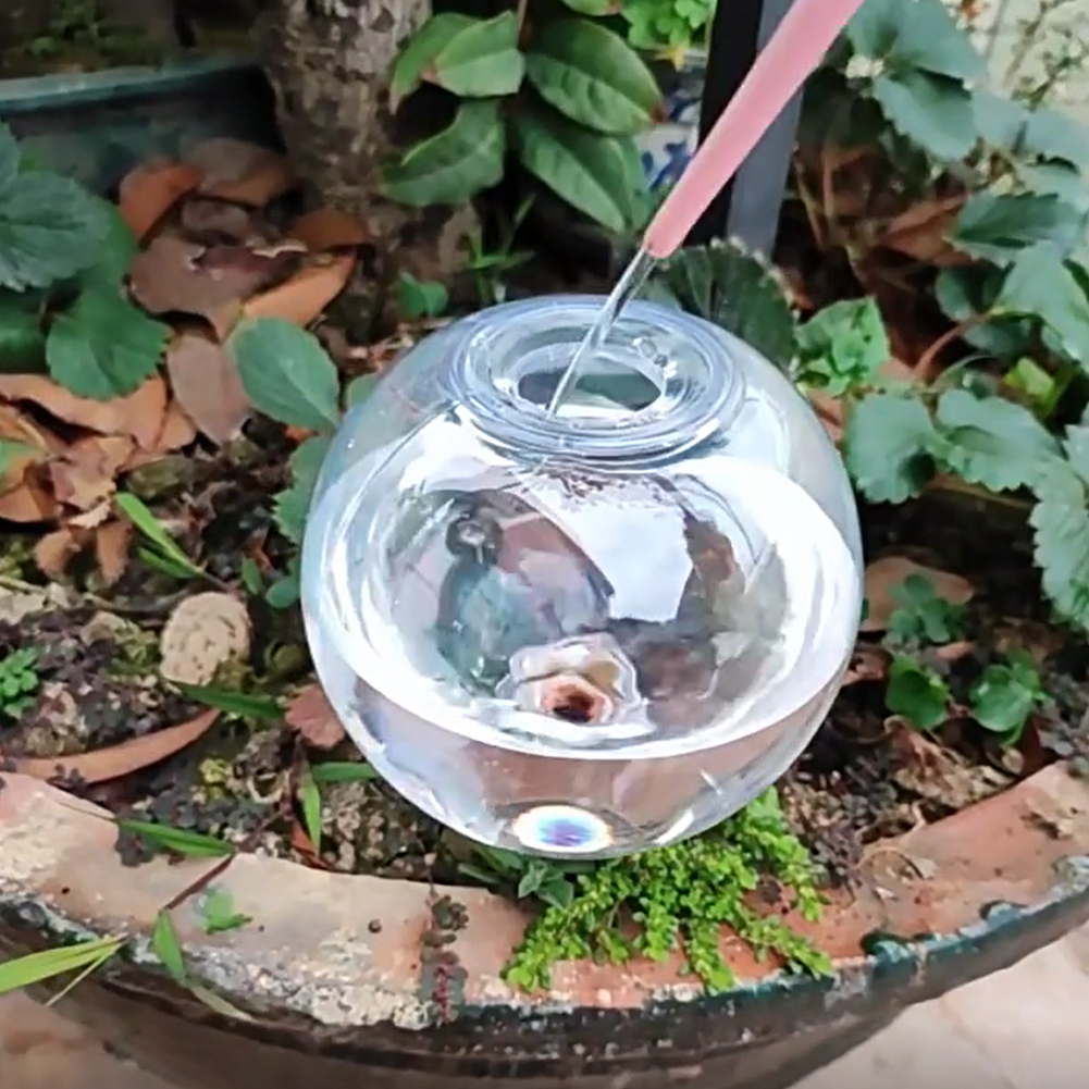 500ML Self Watering Globes Dri - Self-Watering Planter 评论和价格