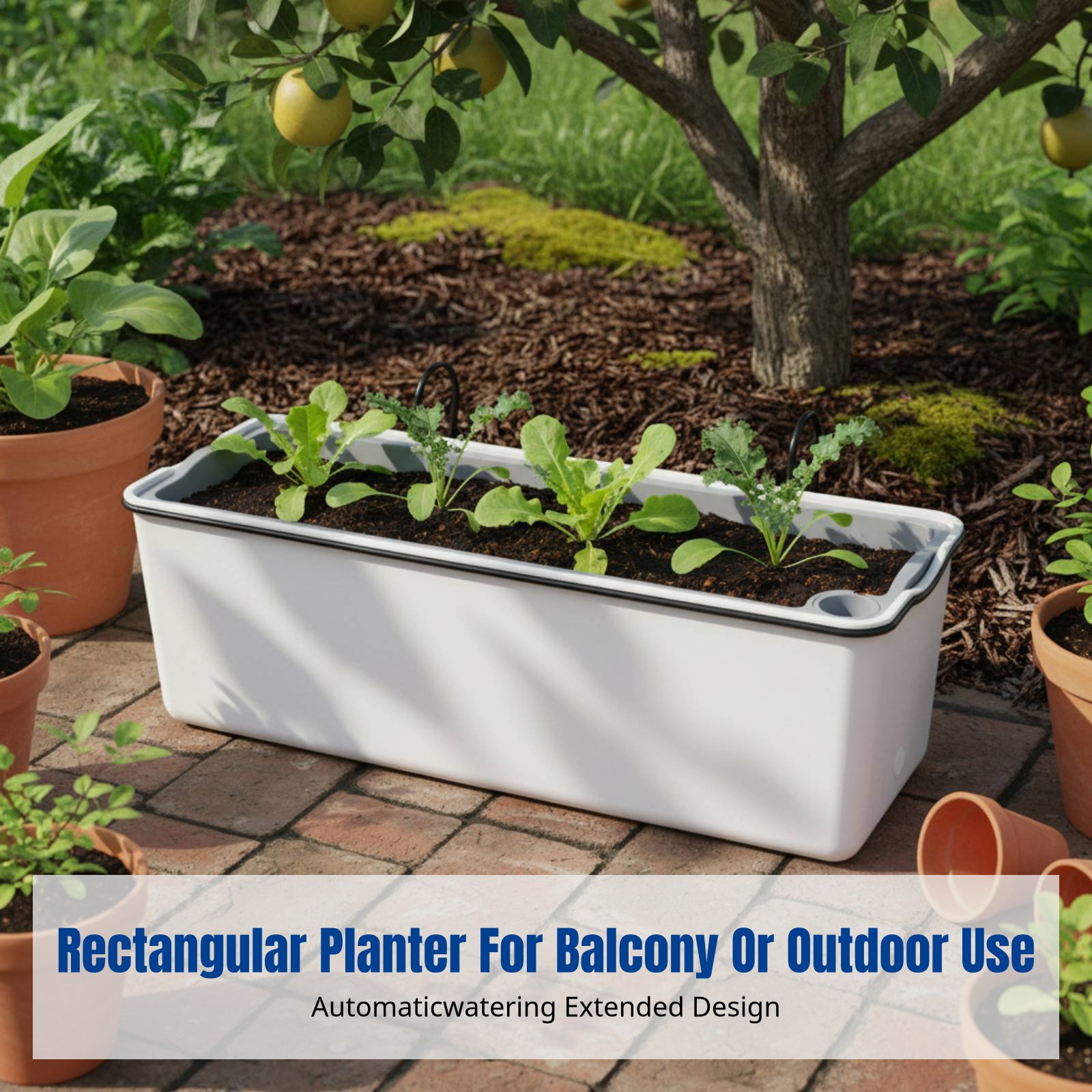 Balcony Hanging Flower Pot Rec - Self-Watering Planter 评论和价格