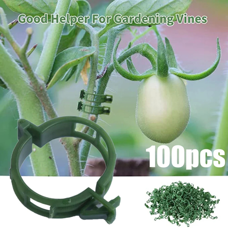 100 PCS/ Plant Support Clip Pl - Gardening Tools Usa 评论和价格