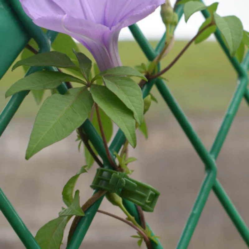 100 PCS/ Plant Support Clip Pl - Gardening Tools Usa 评论和价格