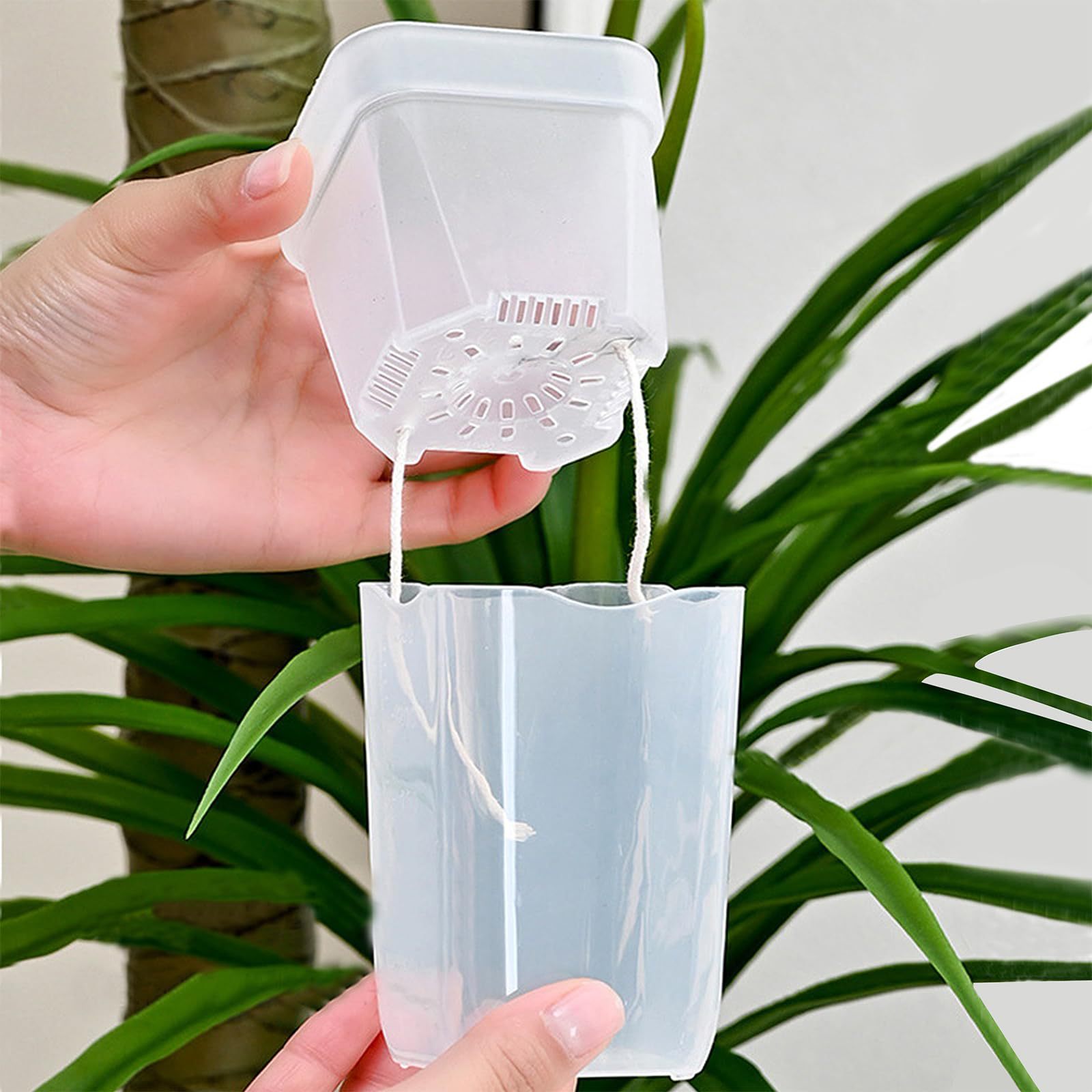 16/32 Pack Self-Watering Plant - Self-Watering Planter 评论和价格