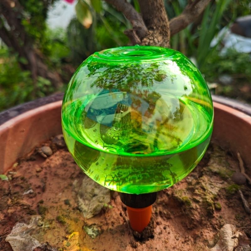 3pcs Large Plant Self Watering - Self-Watering Planter 评论和价格