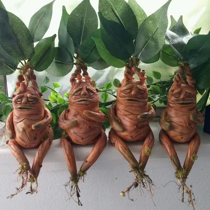 Mandrake Mandrake Resin Orname - Gardening Tools Amazon 评论和价格