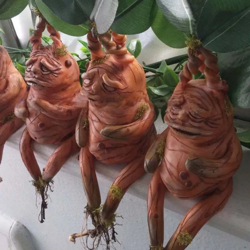 Mandrake Mandrake Resin Orname - Gardening Tools Amazon 评论和价格