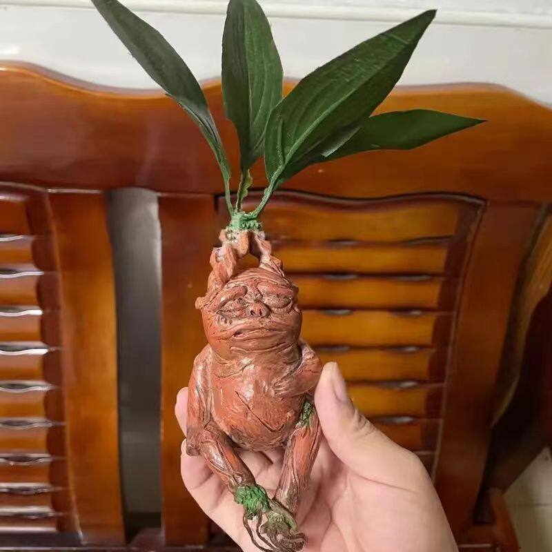 Mandrake Mandrake Resin Orname - Gardening Tools Amazon 评论和价格