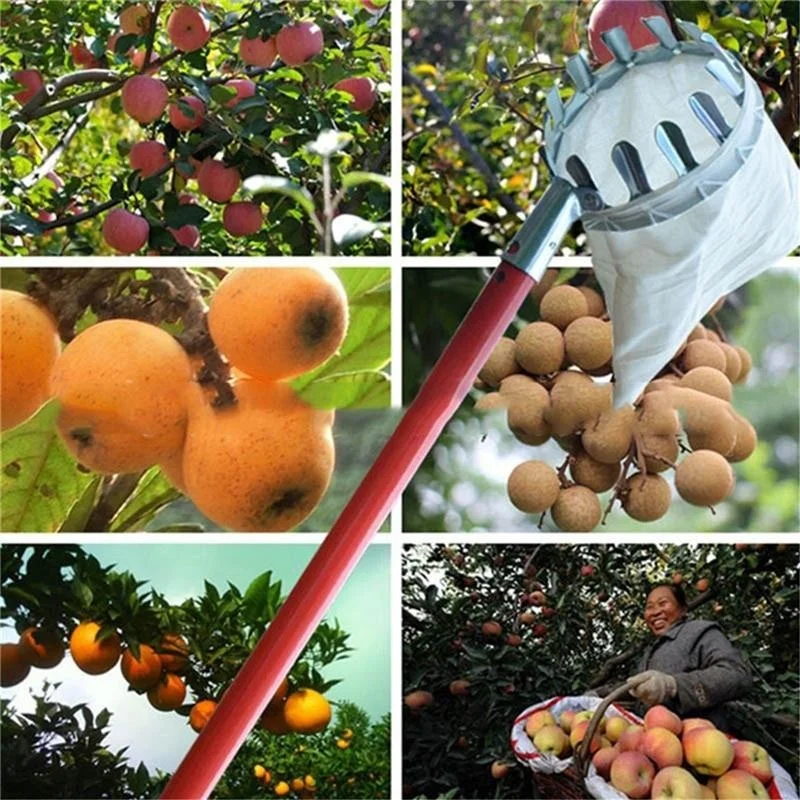 Farm Fruit Picker Garden Orcha - Grow Bags 评论和价格