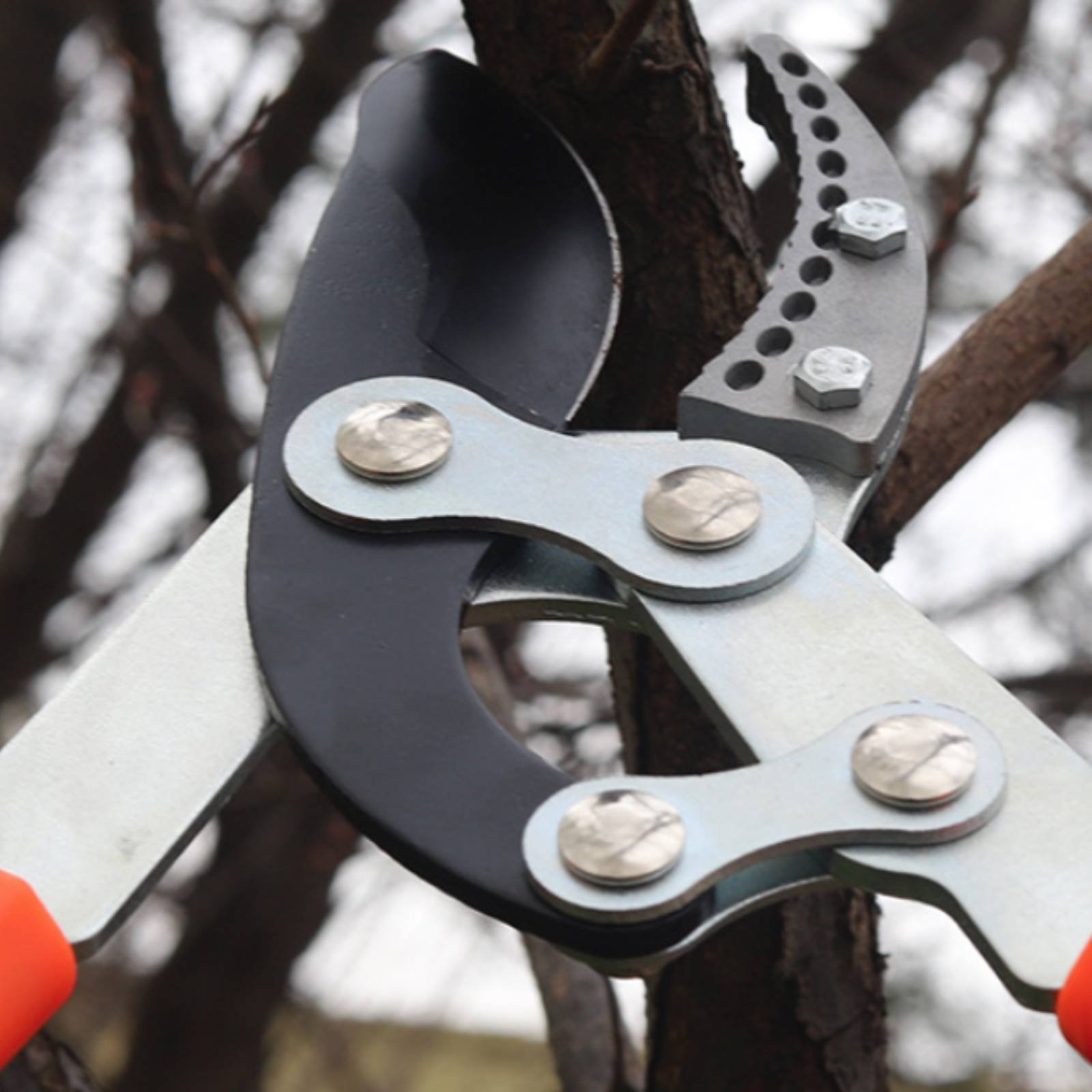 Telescopic Branch Pruners Shar - Pruning Shears 评论和价格