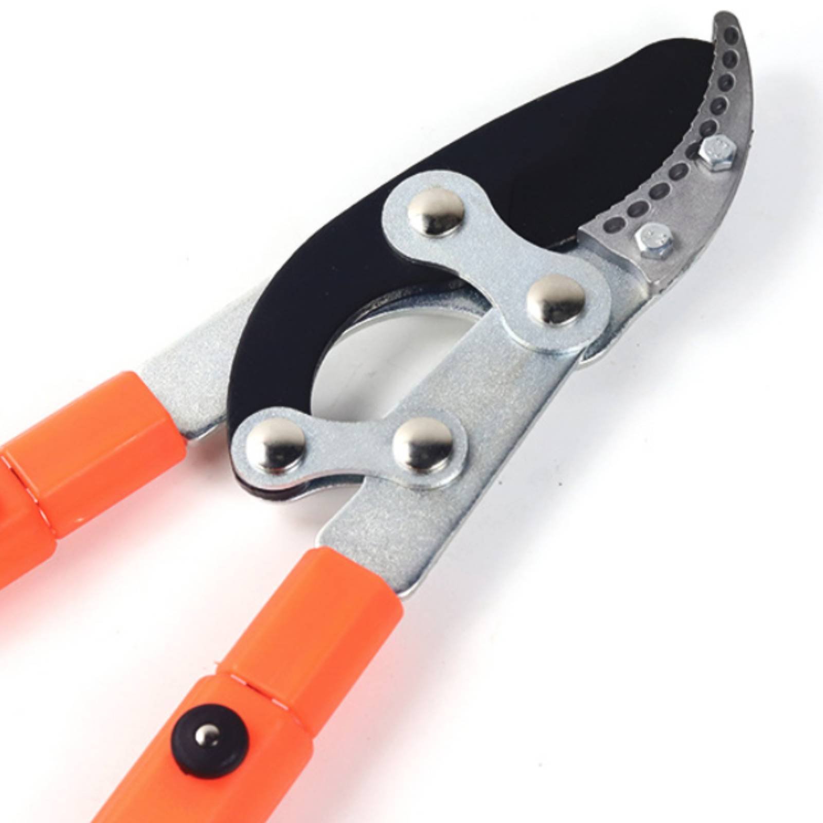 Telescopic Branch Pruners Shar - Pruning Shears 评论和价格