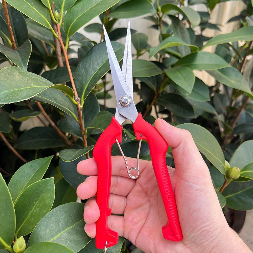 Pro Garden Pruning Shears Leng - Gardening Tools Usa 评论和价格