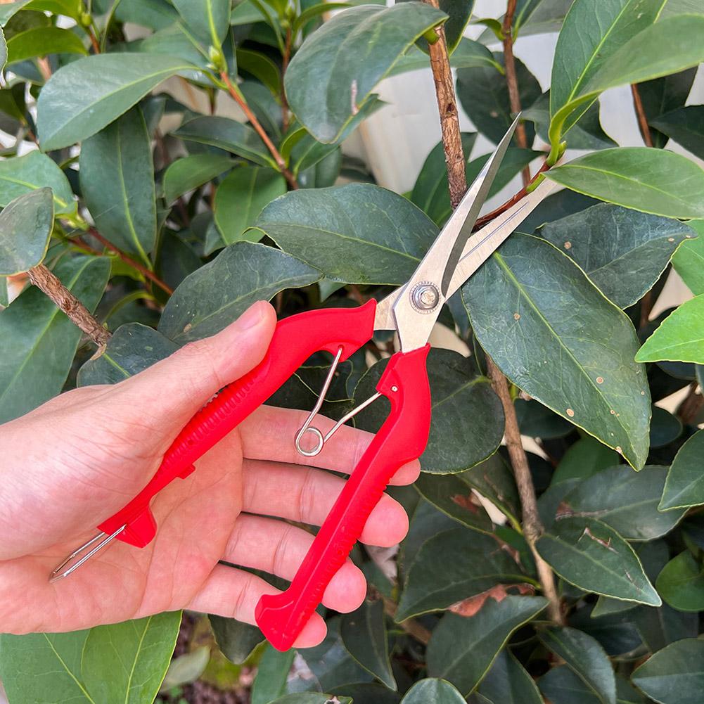 Pro Garden Pruning Shears Leng - Gardening Tools Usa 评论和价格