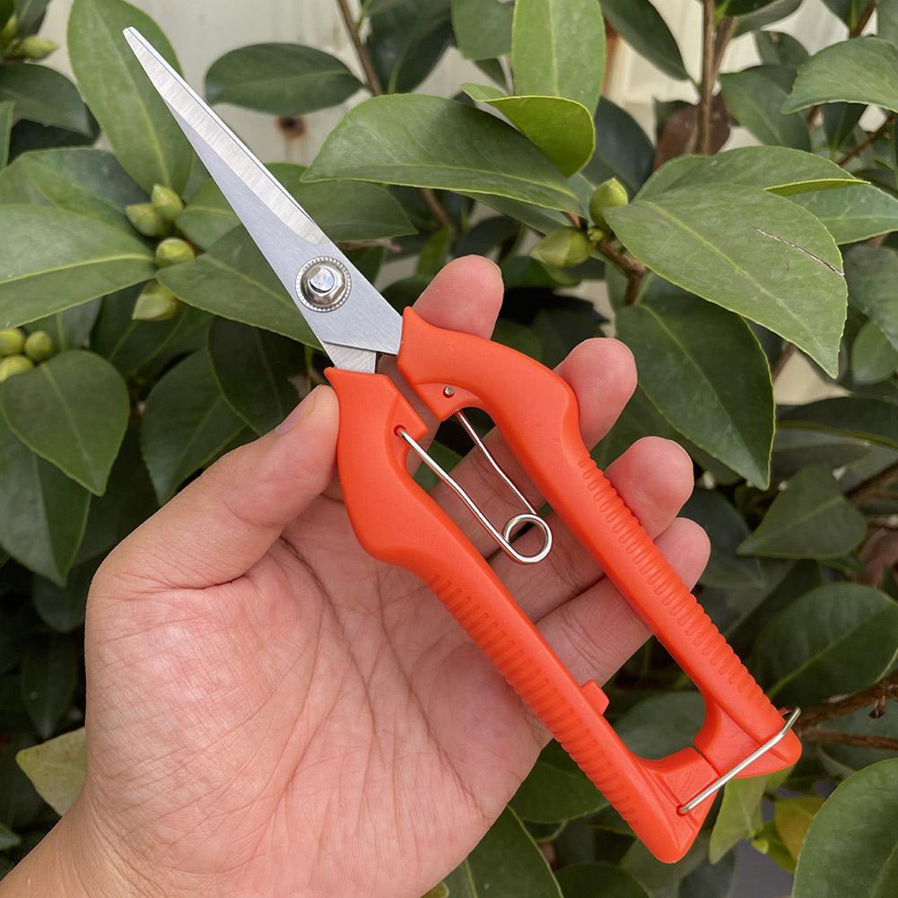Pro Garden Pruning Shears Leng - Gardening Tools Usa 评论和价格