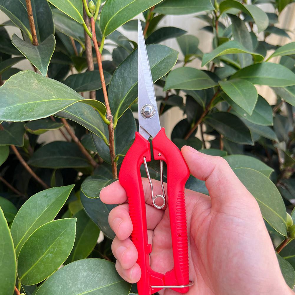 Pro Garden Pruning Shears Leng - Gardening Tools Usa 评论和价格