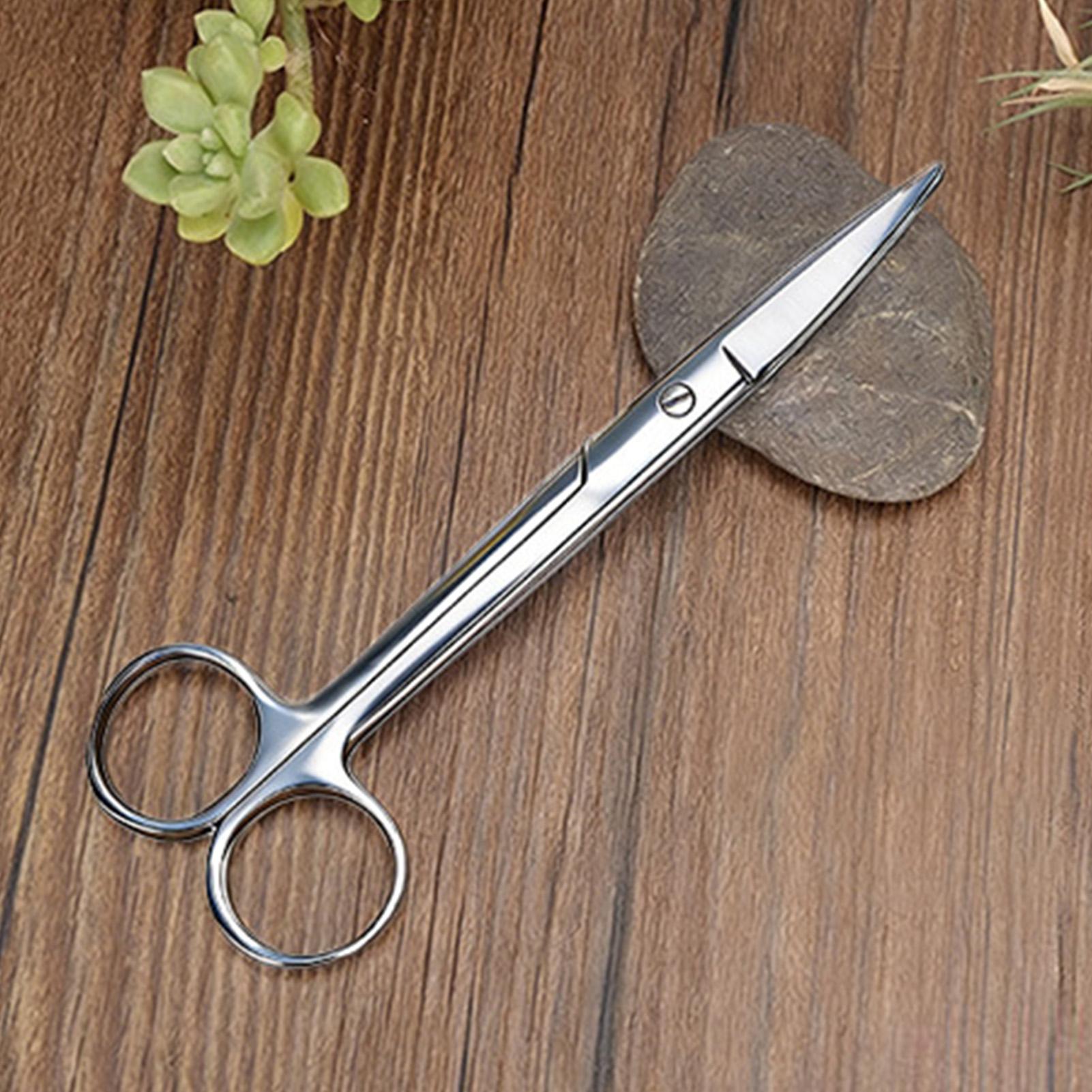 Plant Shears Stainless Steel E - Pruning Shears 评论和价格