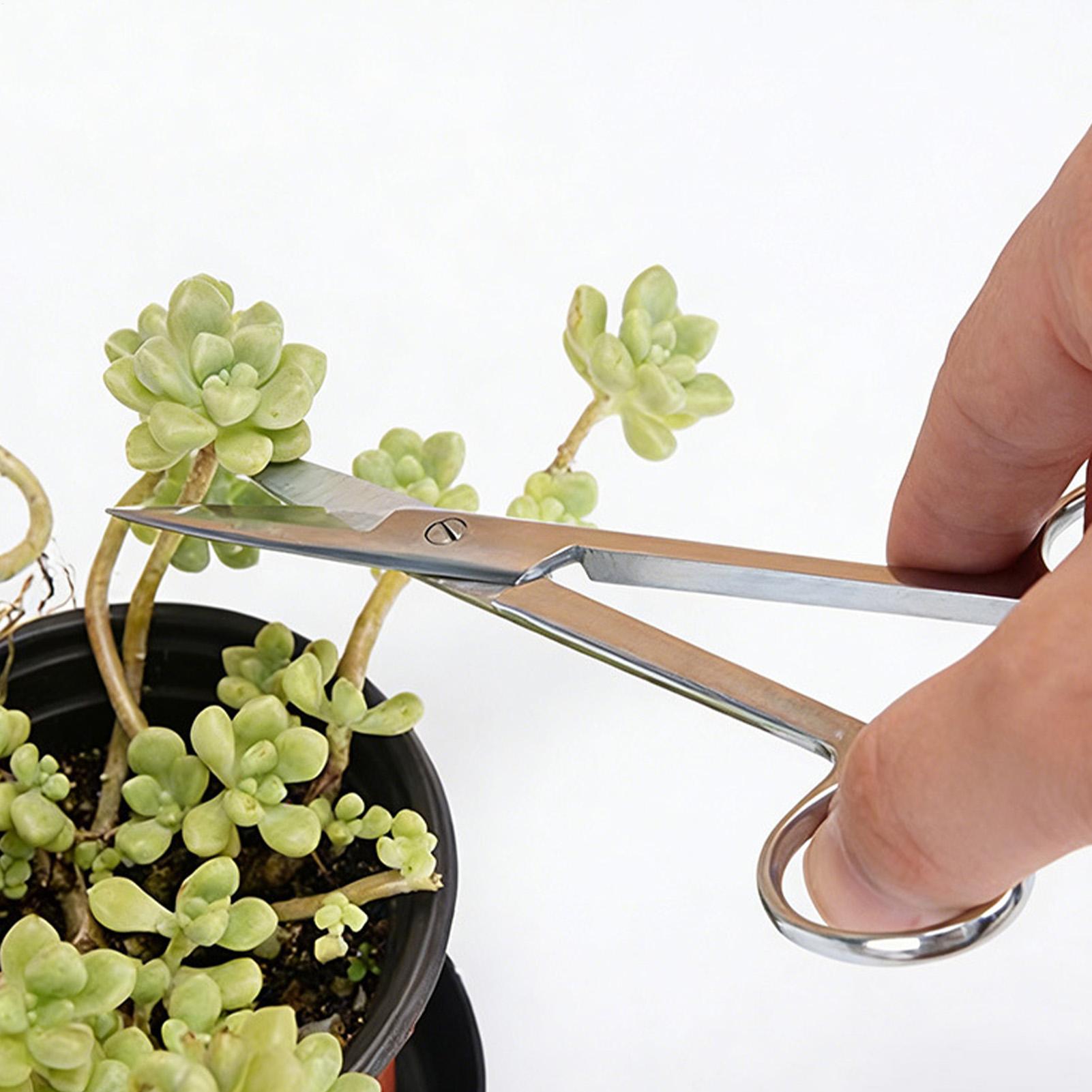Plant Shears Stainless Steel E - Pruning Shears 评论和价格