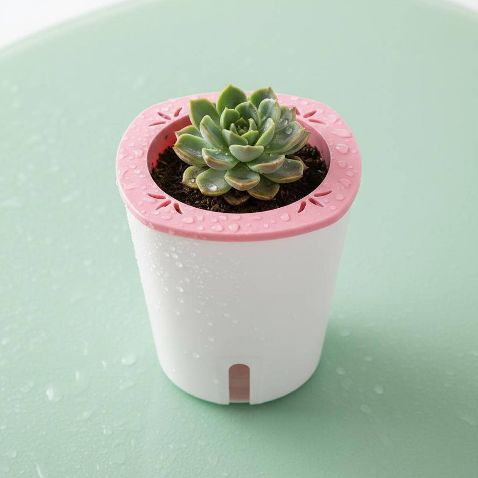Self Watering Planter Large Si - Self-Watering Planter 评论和价格