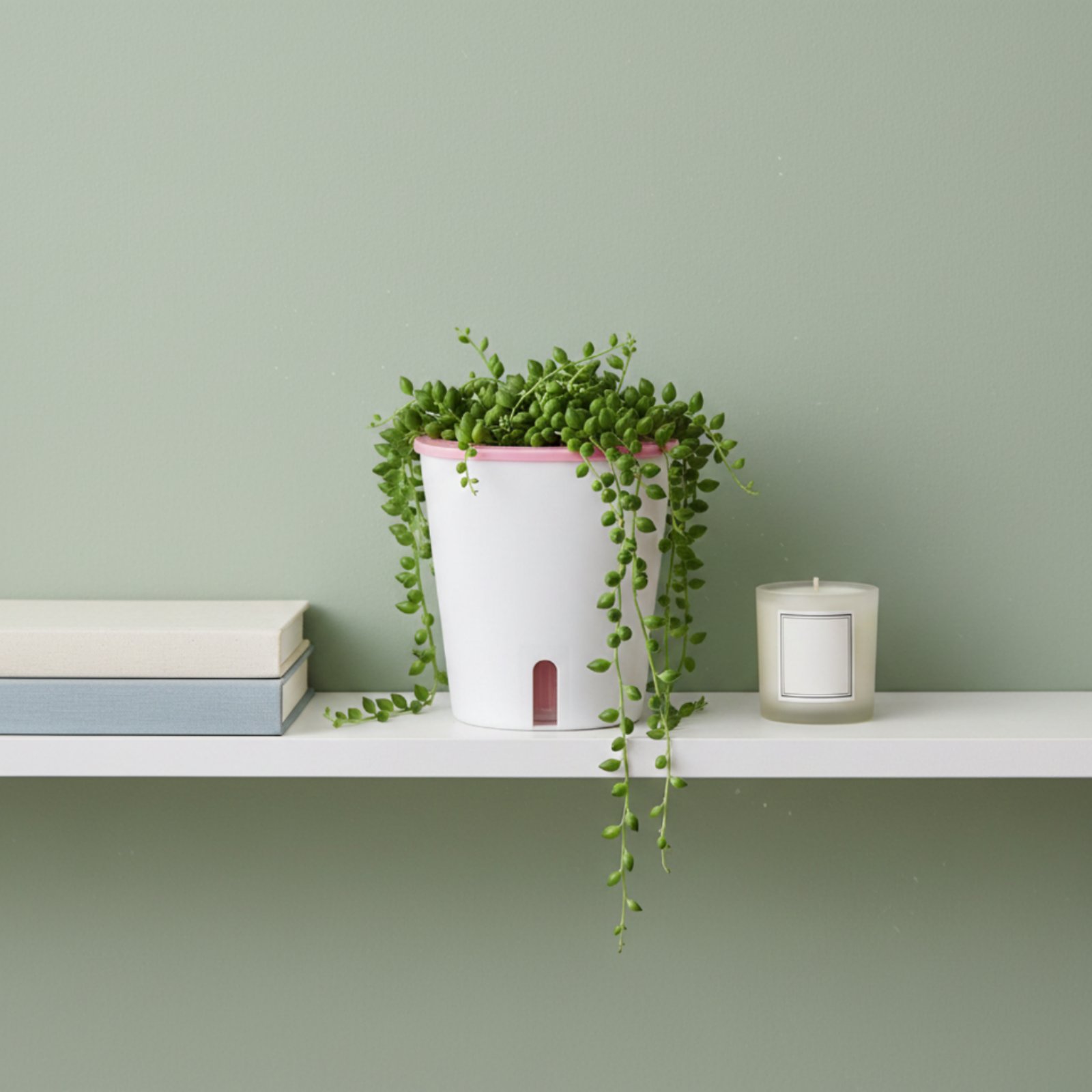 Self Watering Planter Large Si - Self-Watering Planter 评论和价格