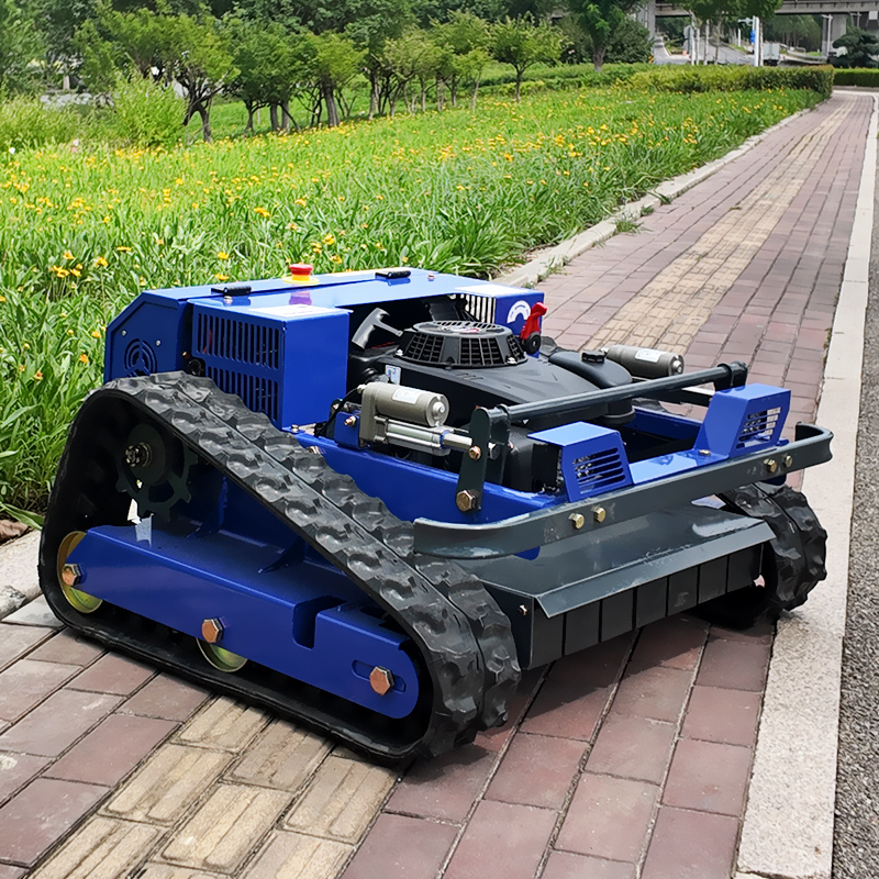 Customised CE EPA Certified Sm - Gardening Tools Lawn Mower 评论和价格