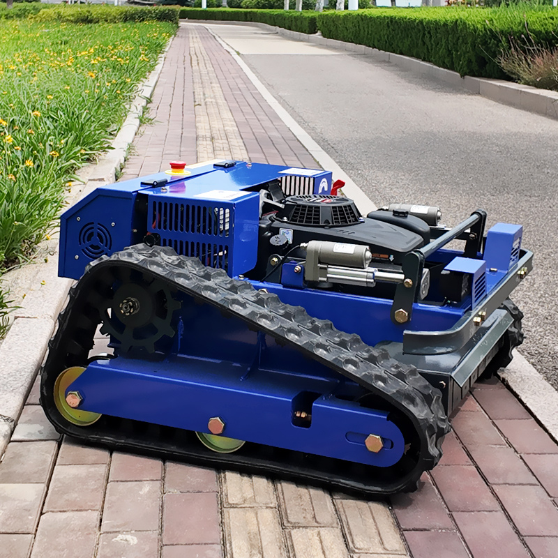 Customised CE EPA Certified Sm - Gardening Tools Lawn Mower 评论和价格