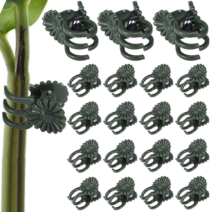 20/50/100PCS Plant Clips Vine  - Gardening Tools Usa 评论和价格